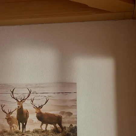 Hotel Parkhotel Kirchberg Kirchberg in Tirol