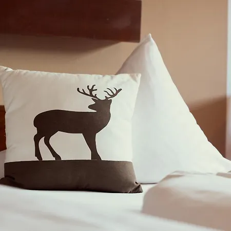 Parkhotel Kirchberg Kirchberg in Tirol