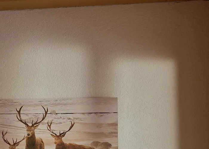 Hotel Parkhotel Kirchberg Kirchberg en Tyrol