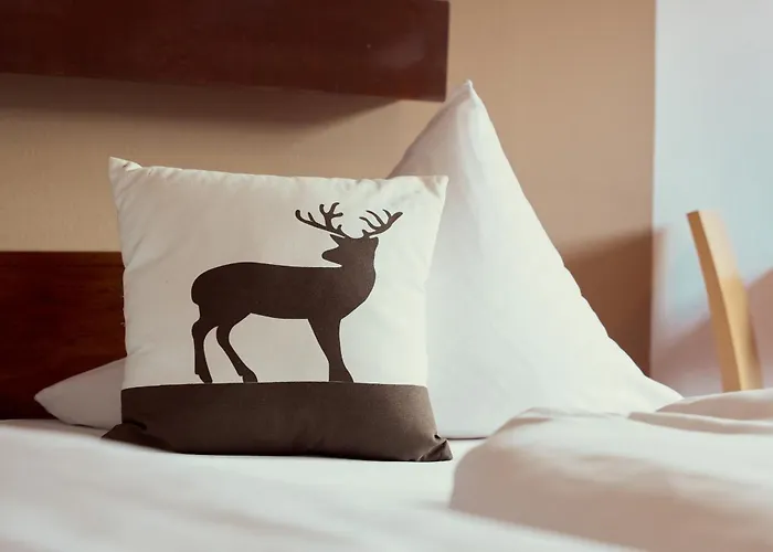 Parkhotel Kirchberg Kirchberg en Tyrol